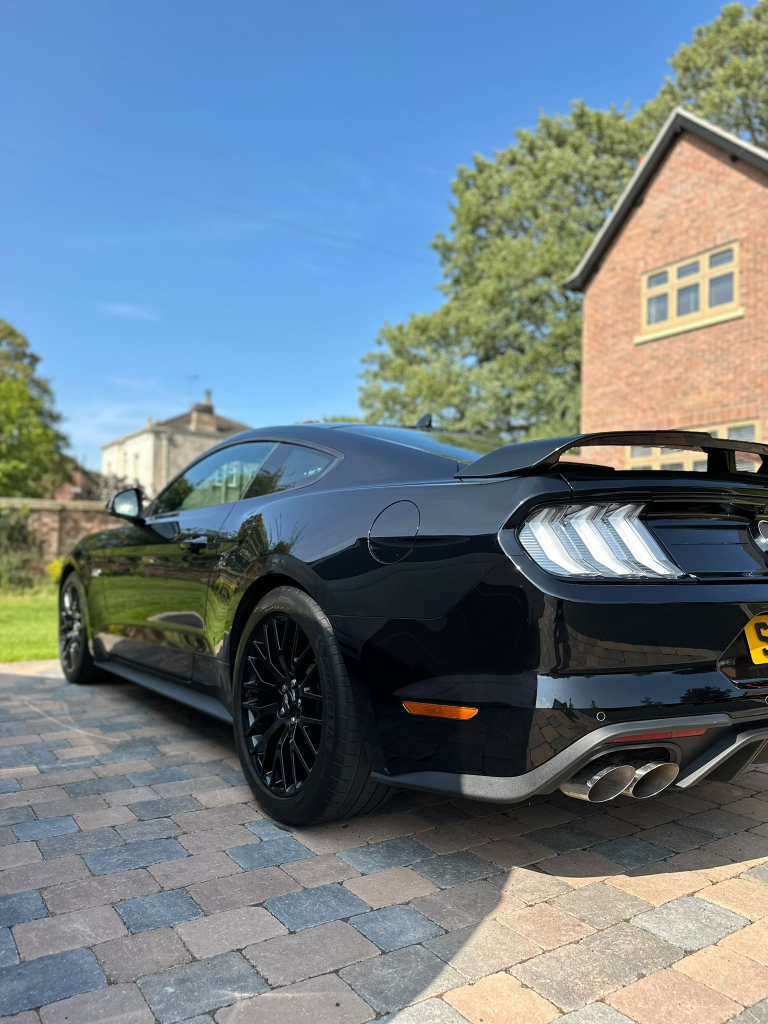 Professional car exterior detailing